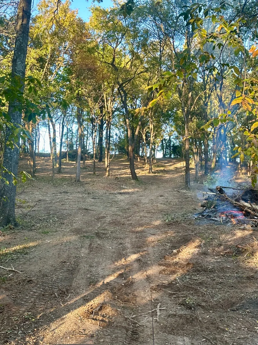Cleared wooded property after selective land clearing