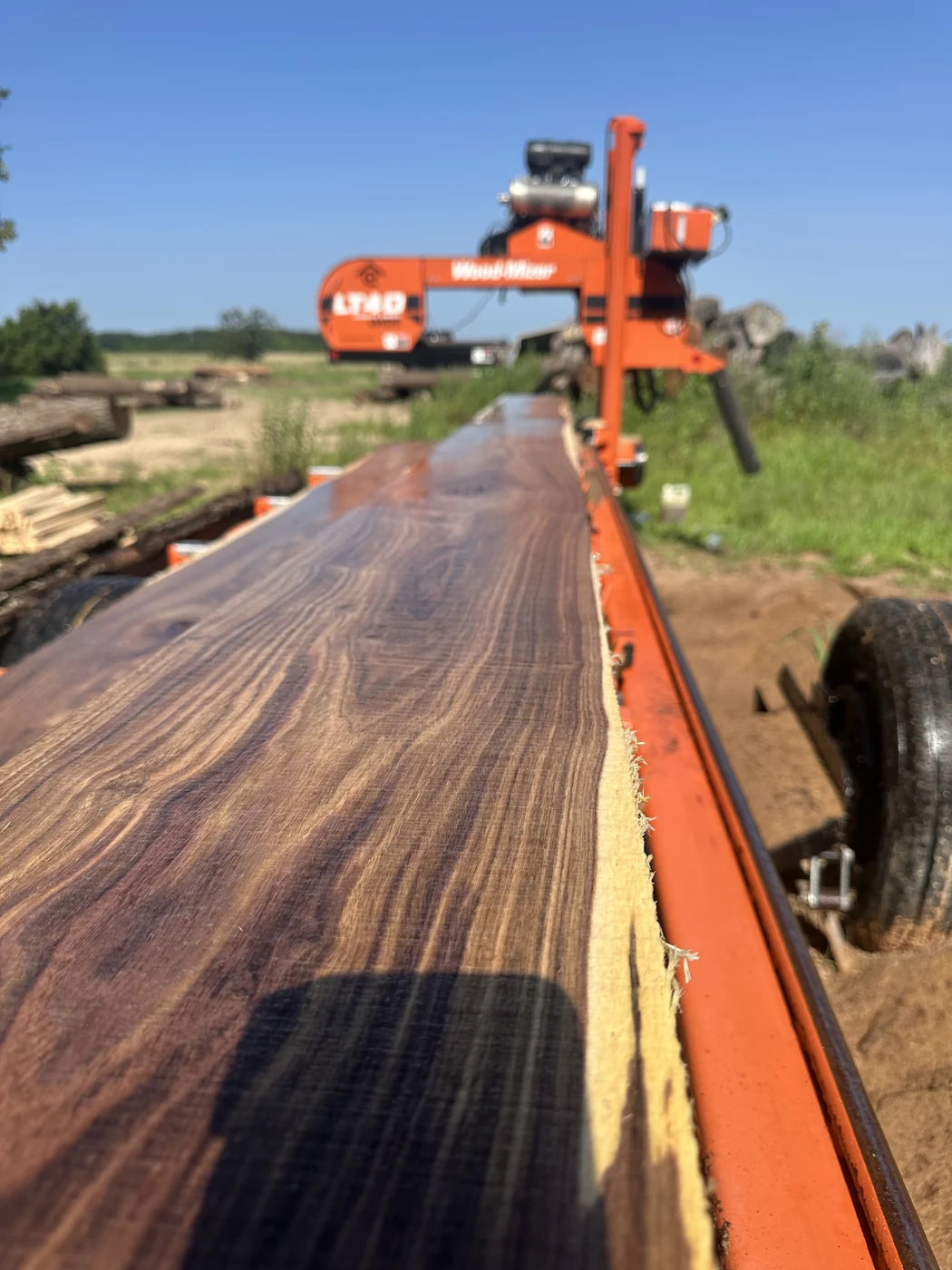 Freshly milled slab on the Rafter E sawmill