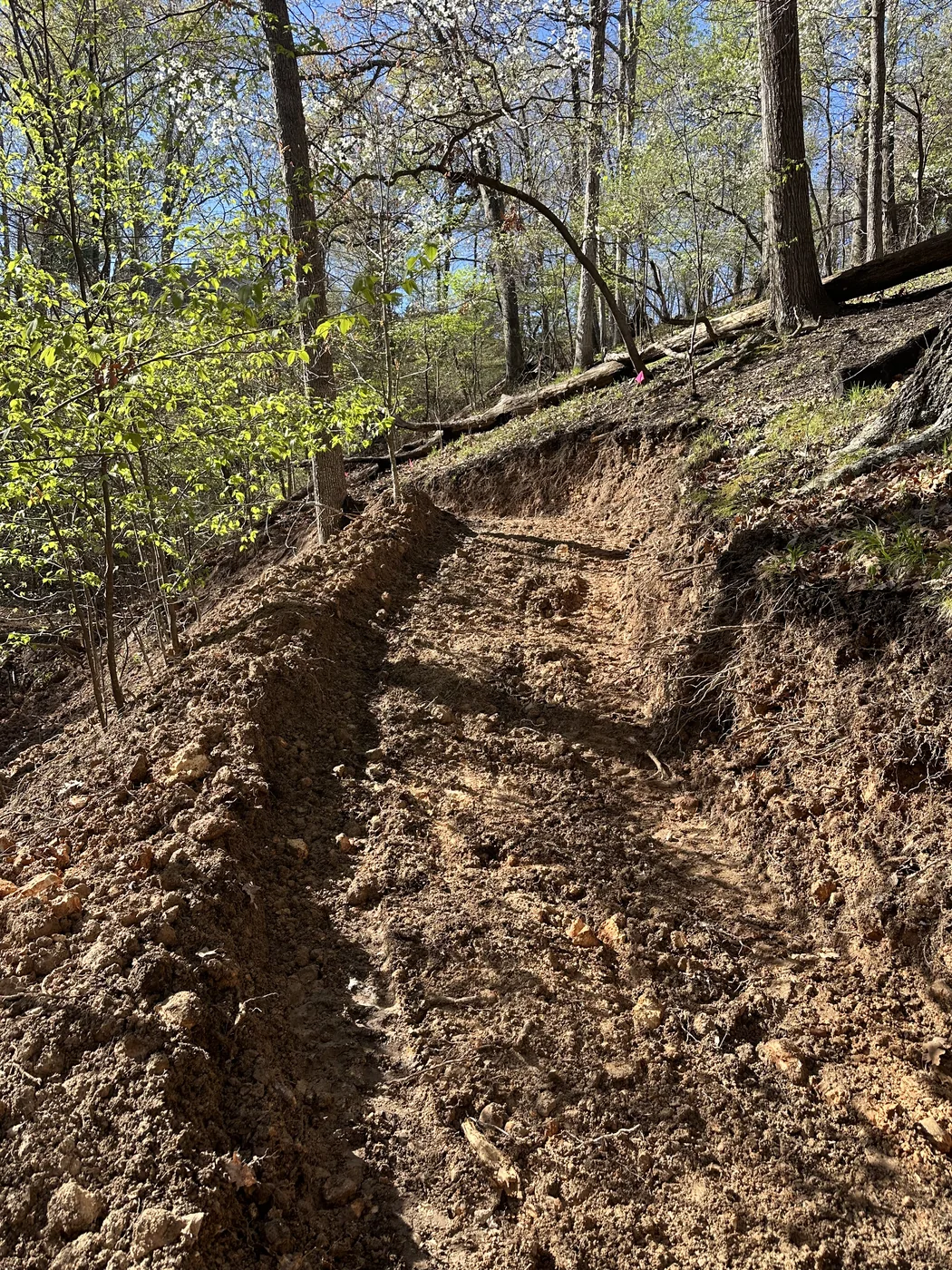Trail taking shape through wooded terrain