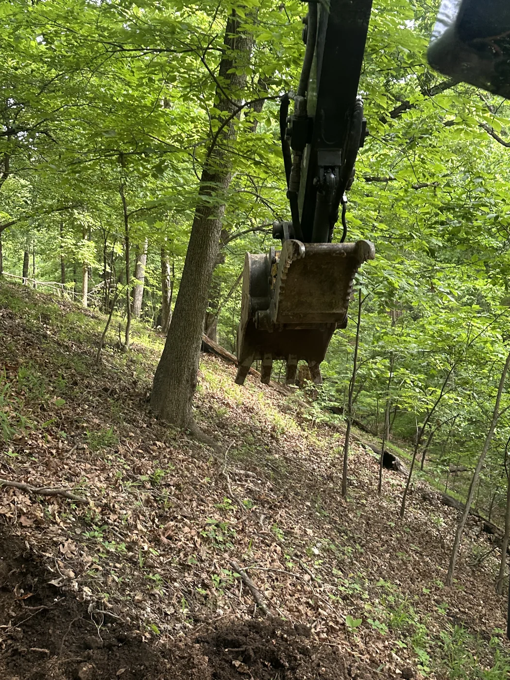 Mountain bike trail through the Eucha property