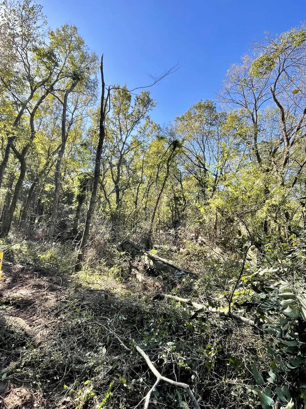 Smith Property land clearing project in Grove Oklahoma