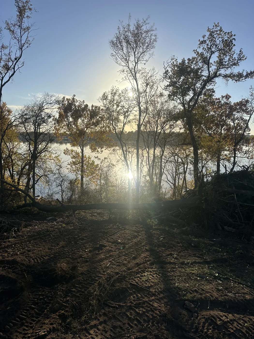 Smith Property land clearing project in Grove Oklahoma
